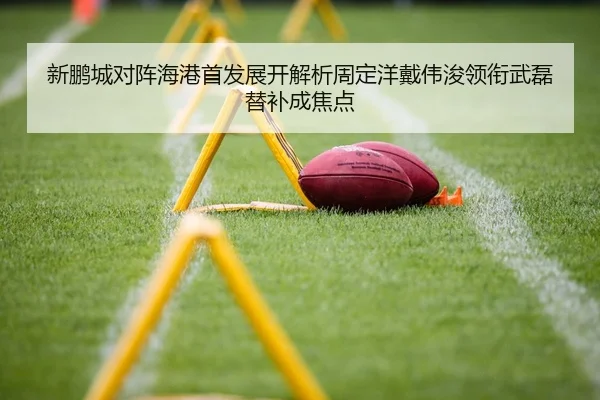 新鹏城对阵海港首发展开解析周定洋戴伟浚领衔武磊替补成焦点